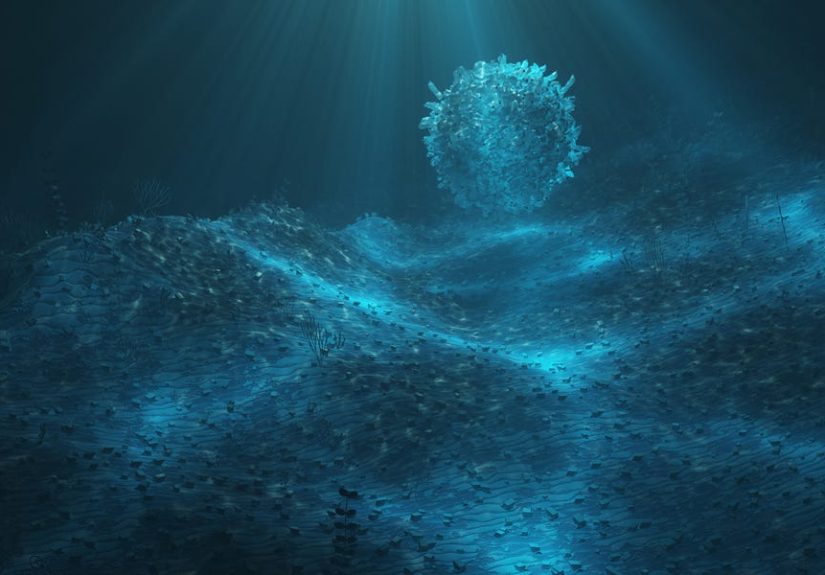 A Carnivorous &lsquo;Death Ball&rsquo; Has Emerged from the Deep