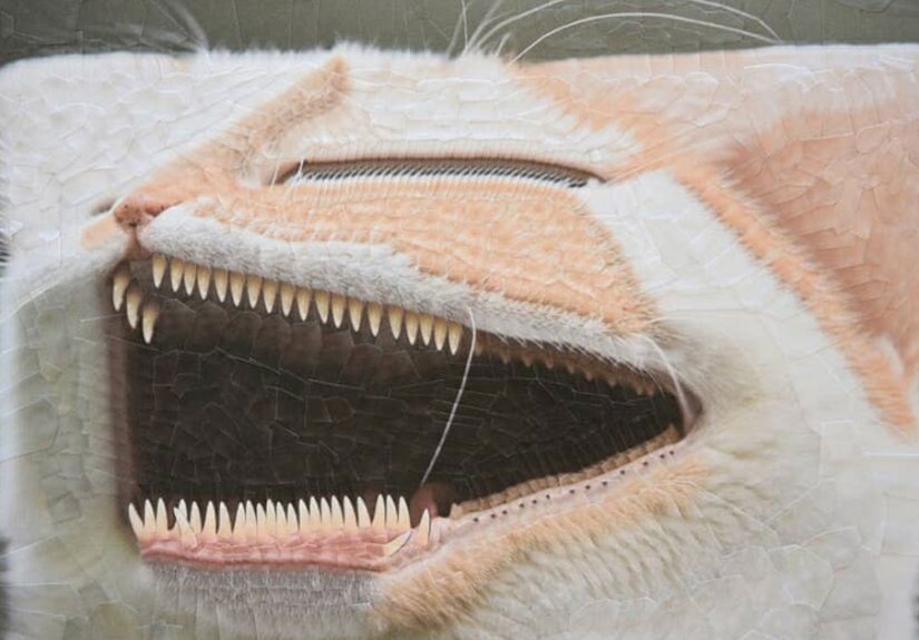 Artist Creates Unusual Pet Portraits Through Distortion, And Here Are Her 80 Best Works