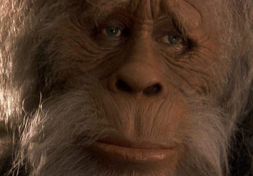 Harry and the Hendersons Rankings And Opinions