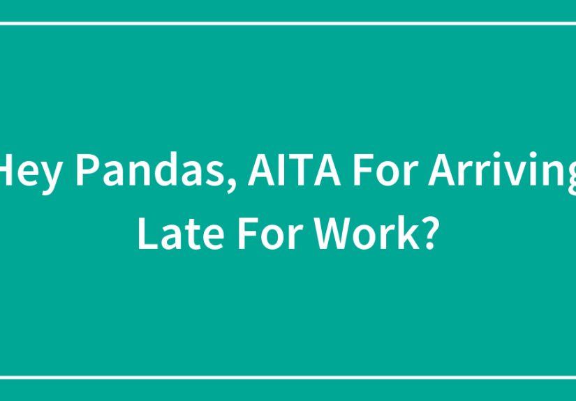 Hey Pandas, AITA For Arriving Late For Work?