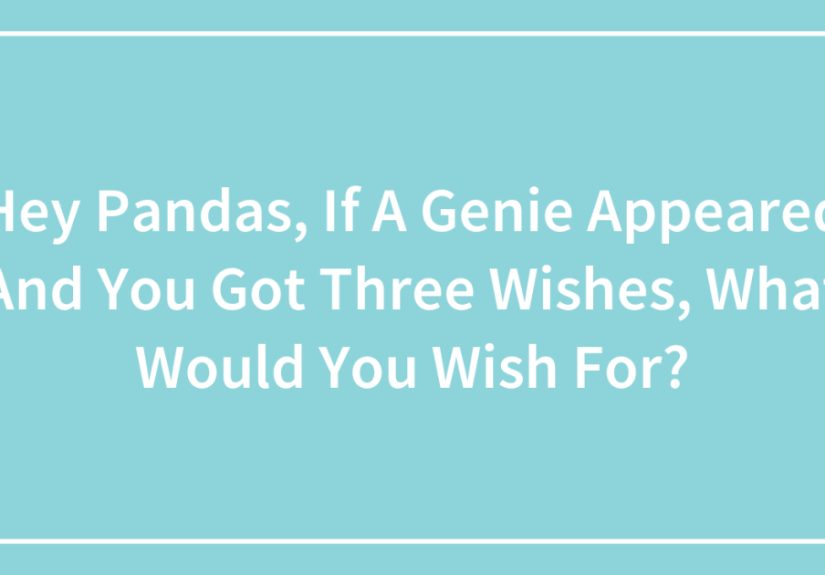 Hey Pandas, If A Genie Appeared And You Got Three Wishes, What Would You Wish For?
