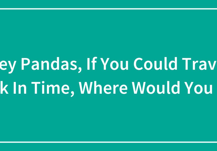 Hey Pandas, If You Could Travel Back In Time, Where Would You Go?
