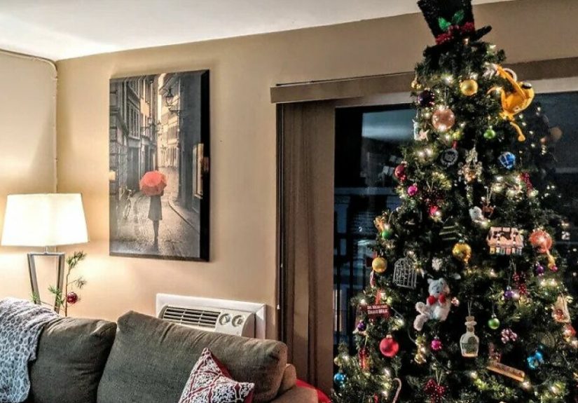 Hey Pandas, Post A Photo Of Your Christmas Tree