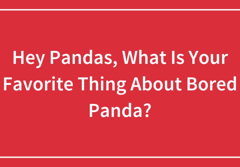 Hey Pandas, What Is Your Favorite Thing About ?