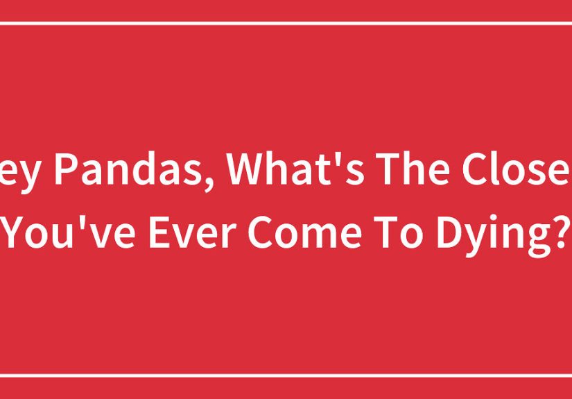 Hey Pandas, What’s The Closest You’ve Ever Come To Dying?
