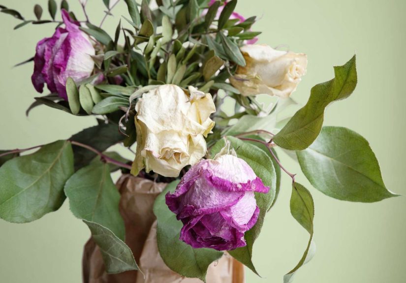 How to Preserve Flowers 3 Different Ways
