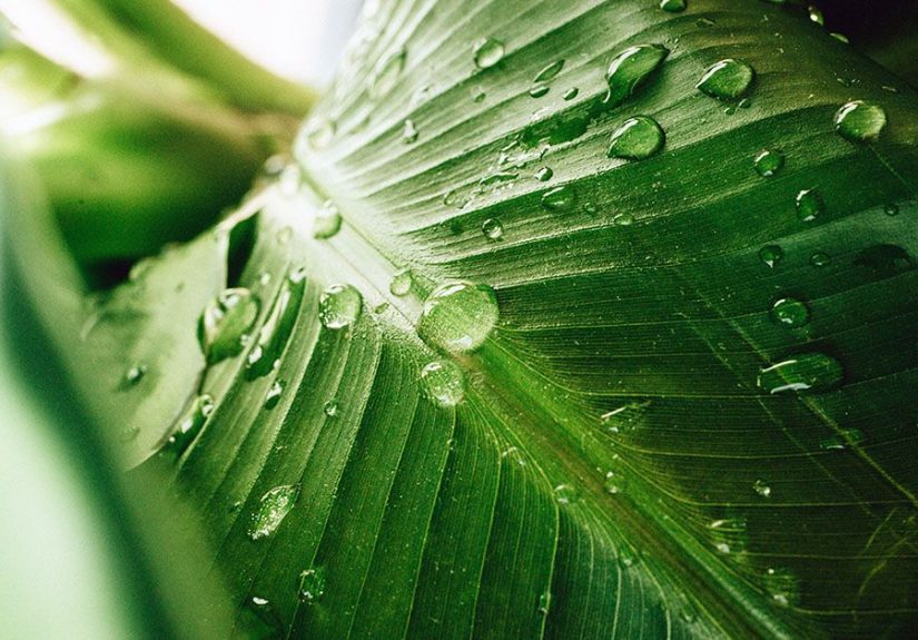 Humidity constipation: Why it may happen and more