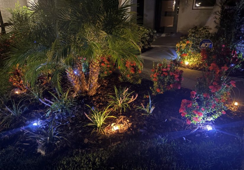 I Tried Enbrighten Lights and My Yard Has Never Looked Better