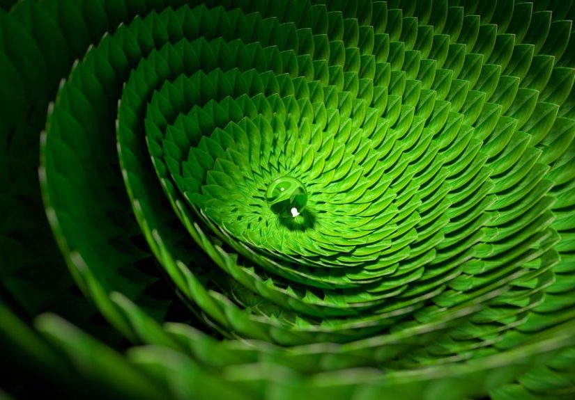 Mathematicians Have Discovered the Secret Geometry of Life