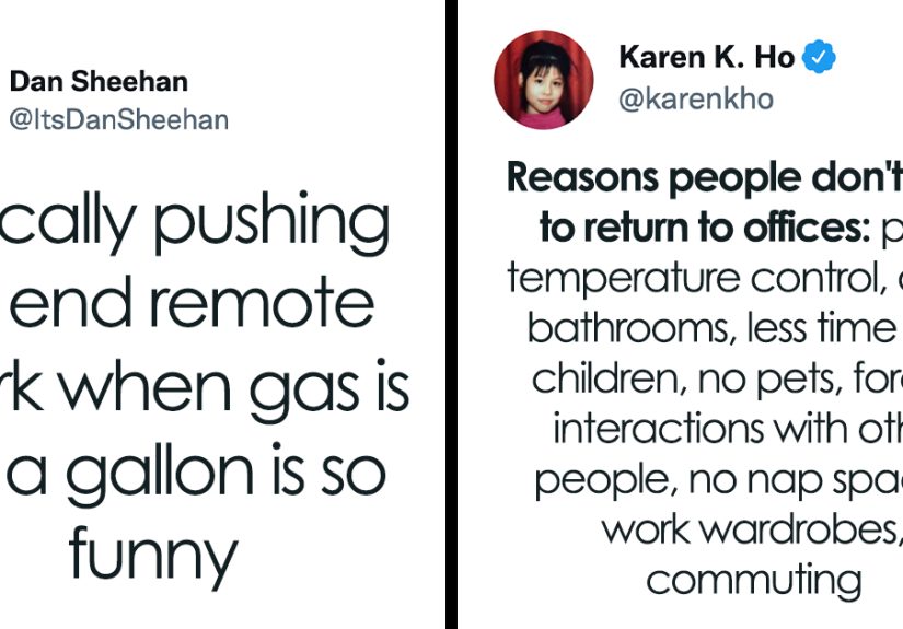 People Are Revealing The 30 Actual Reasons Companies Don’t Want You To Work From Home