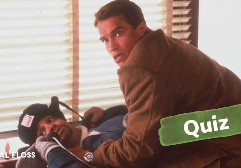 Quiz: If You Score a 10/10, You&rsquo;re a Certified &lsquo;90s Christmas Movie Expert