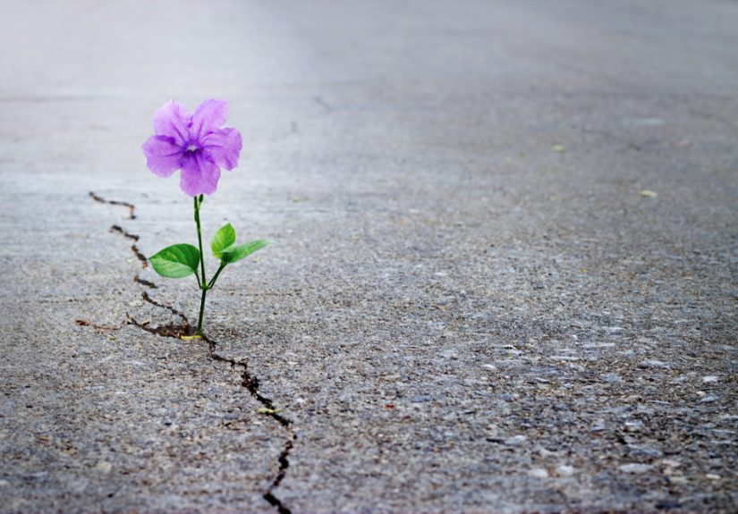 Take a Break From All the Bad News, and Praise Hope