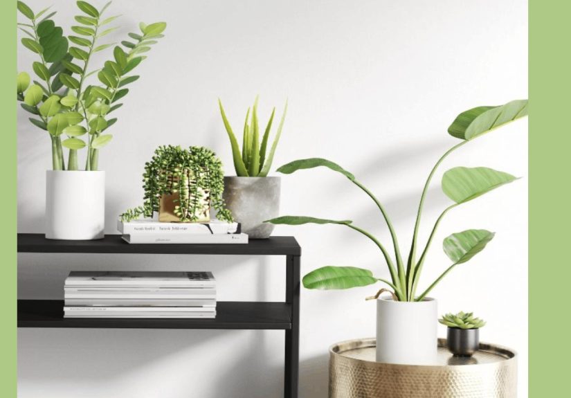 The 9 Best Places to Buy Fake Plants - Bob Vila