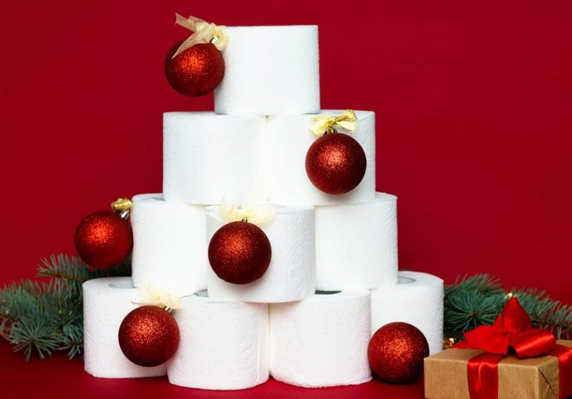 “There’s a Lot of Heavy Traffic”: How to House-Party-Proof Your Loo This Christmas According to an Expert