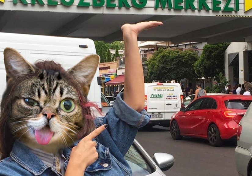 This Artist Creates Peculiar Collages Featuring Cat Photos, And Here Are His 30 Best Works