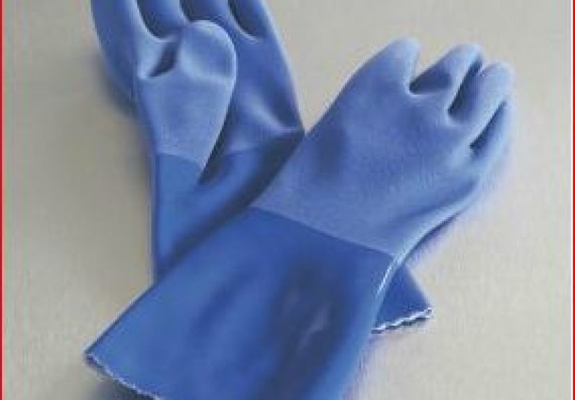 True Blue Household Gloves