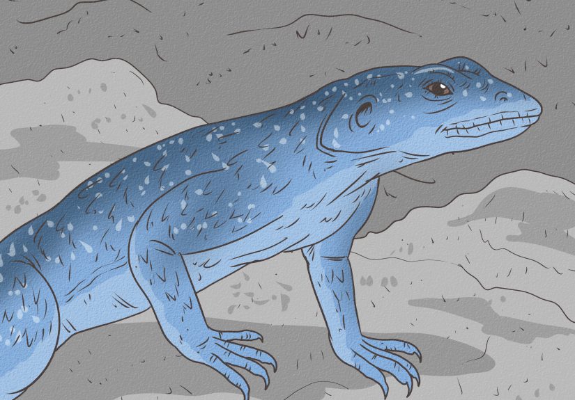 What Do Lizards Mean Spiritually? Symbolism, Dreams, & Omens