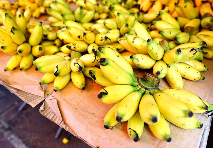 What Is a Manzano Banana? Get to Know This Adorable Fruit