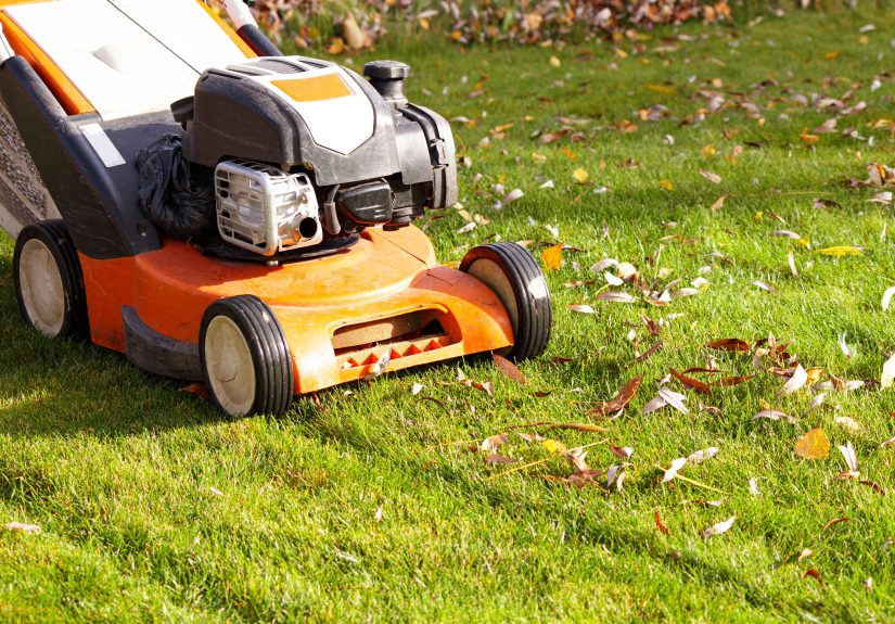 When to Stop Mowing Your Lawn Before Winter, Depending on Grass Type
