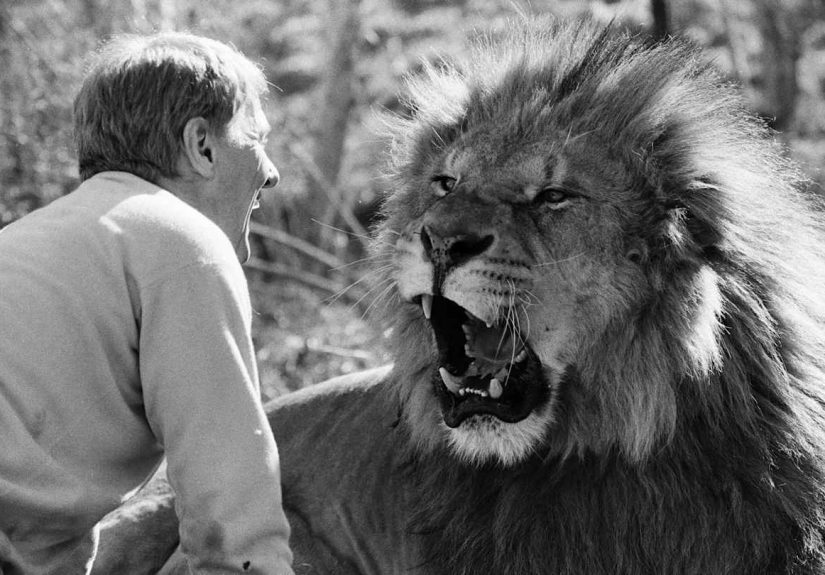 10 Infamous Films That Spelled Disaster For Their Famous Directors