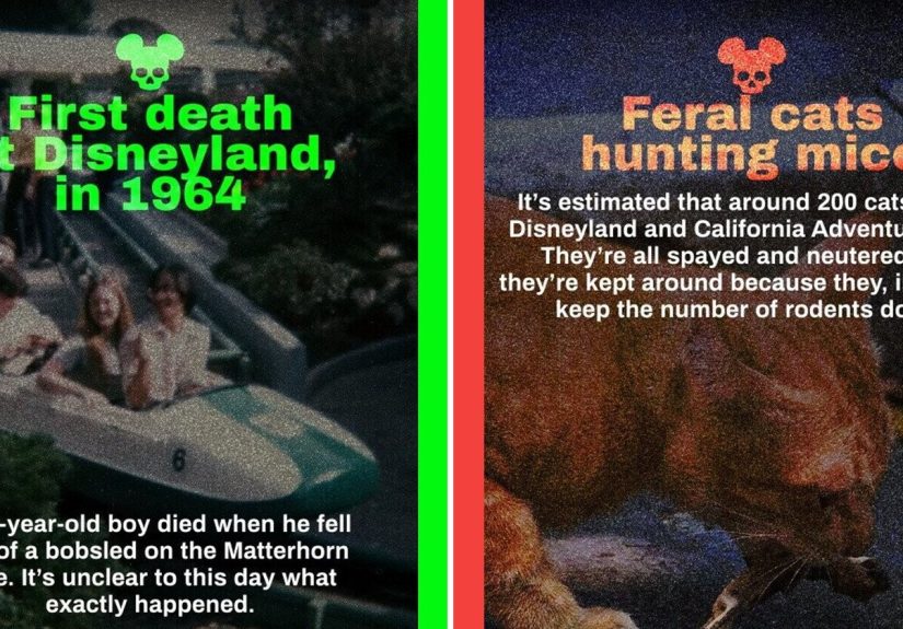 12 Disney Park Disasters And Dark Secrets That Made It the Second Happiest Place on Earth