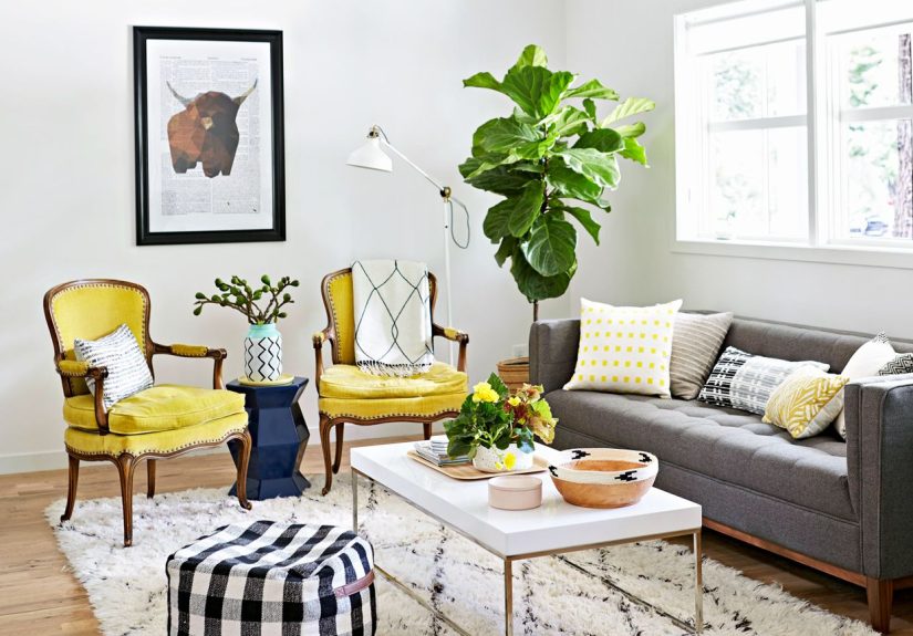 15 Best Indoor Trees to Add Leafy Accents to Your Home