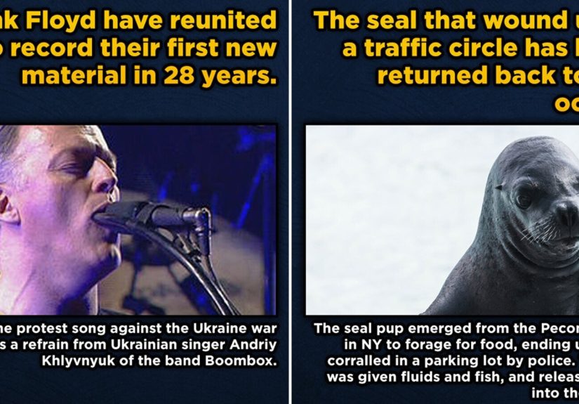 15 Feel-Good News Stories That Make Us Feel Lighter Than Air