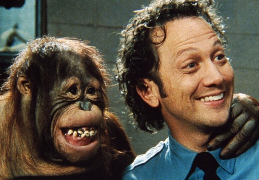 5 Animals with Better Filmographies Than Rob Schneider