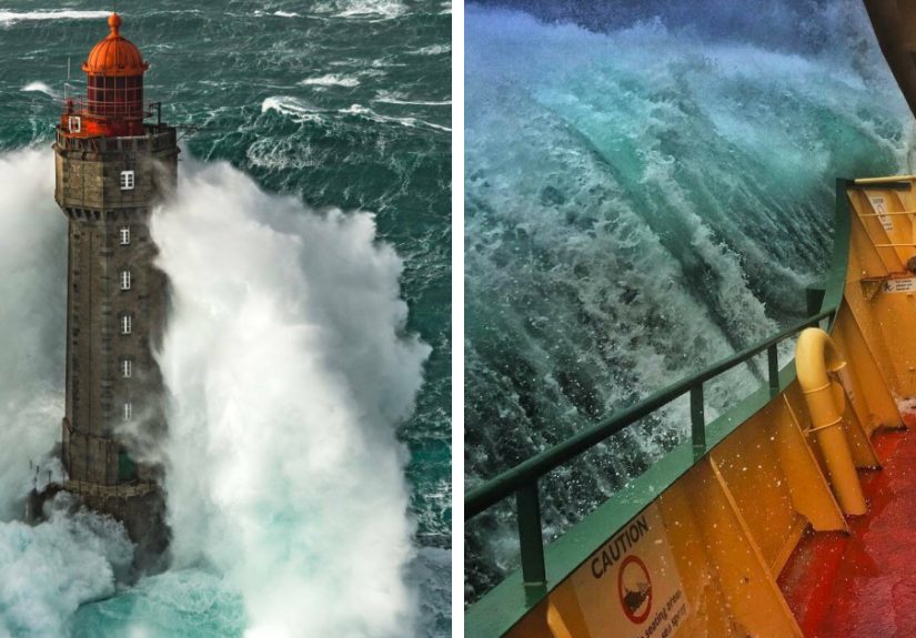 50 Unexpected Ocean Moments That Might Freak You Out