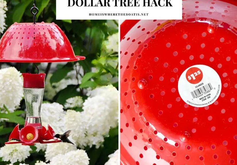 DIY Hummingbird Feeder Umbrella