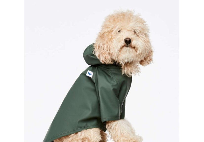 Doggie Raincoat Sarah Green Color