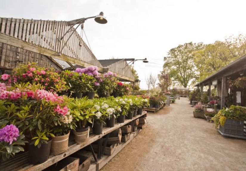 Enter to Win: A $5,000 In-Store Shopping Spree at Terrain in Philadelphia