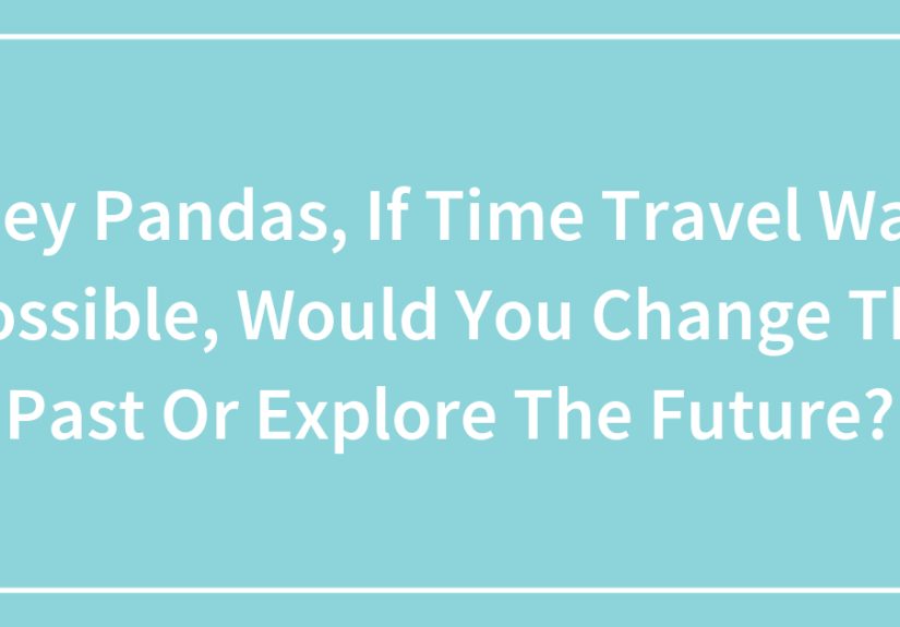 Hey Pandas, If Time Travel Was Possible, Would You Change The Past Or Explore The Future?