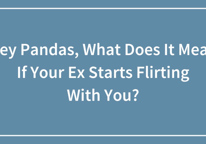 Hey Pandas, What Does It Mean If Your Ex Starts Flirting With You?