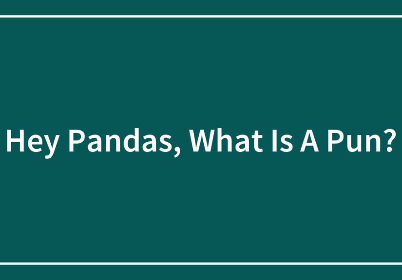 Hey Pandas, What Is A Pun?
