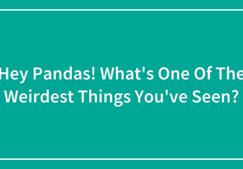 Hey Pandas! What’s One Of The Weirdest Things You’ve Seen?