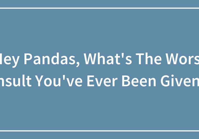 Hey Pandas, What’s The Worst Insult You’ve Ever Been Given?