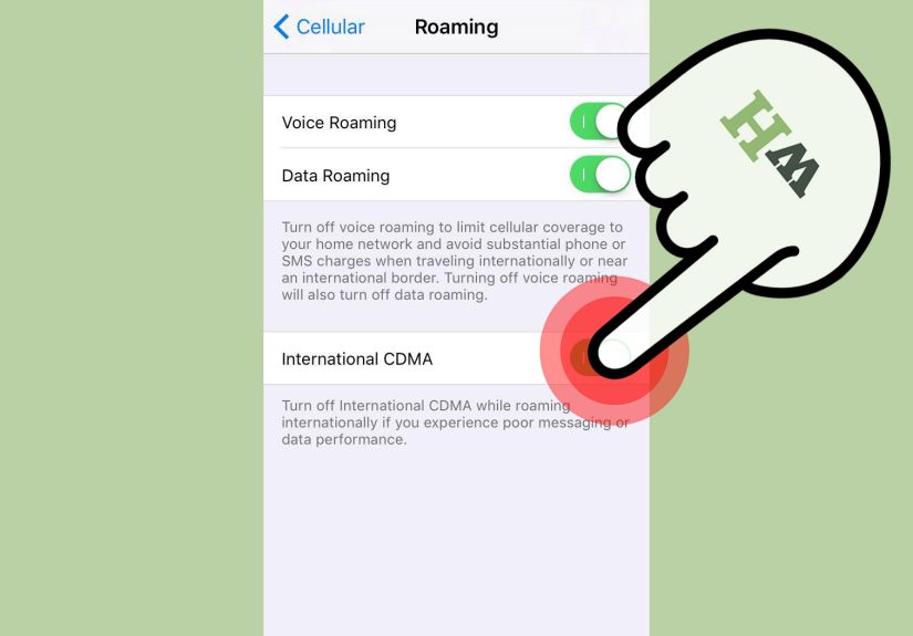 How to Check Your Roaming Data Usage on an iPhone: 8 Steps