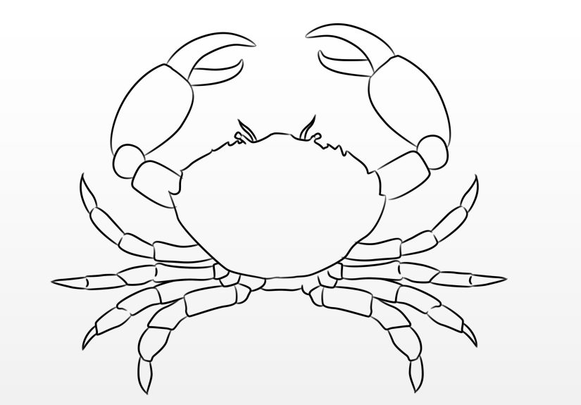 How to Draw a Crab: 9 Steps