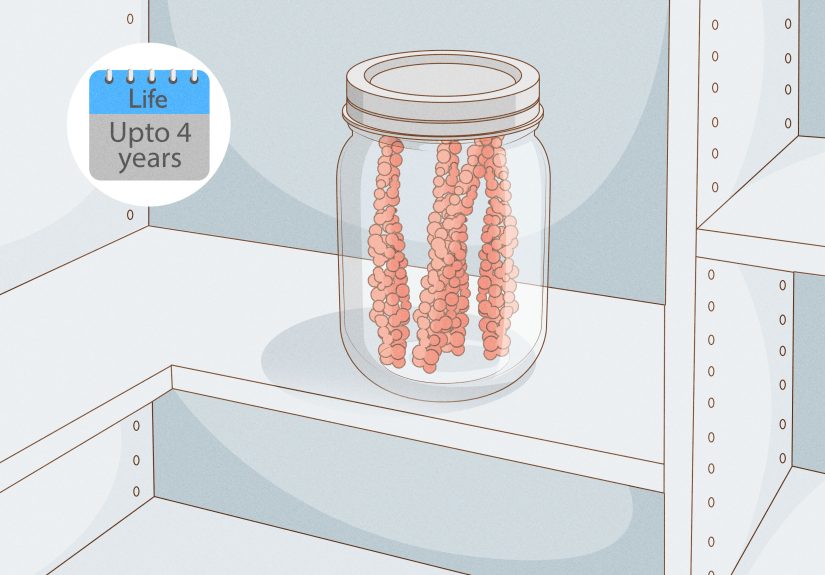 How to Grow Black Pepper