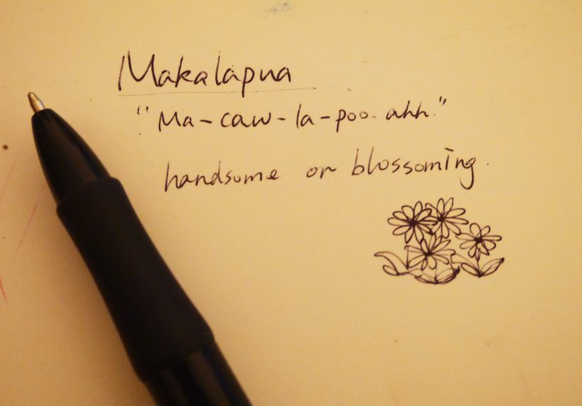 How to Say Beautiful in Hawaiian: 3 Steps