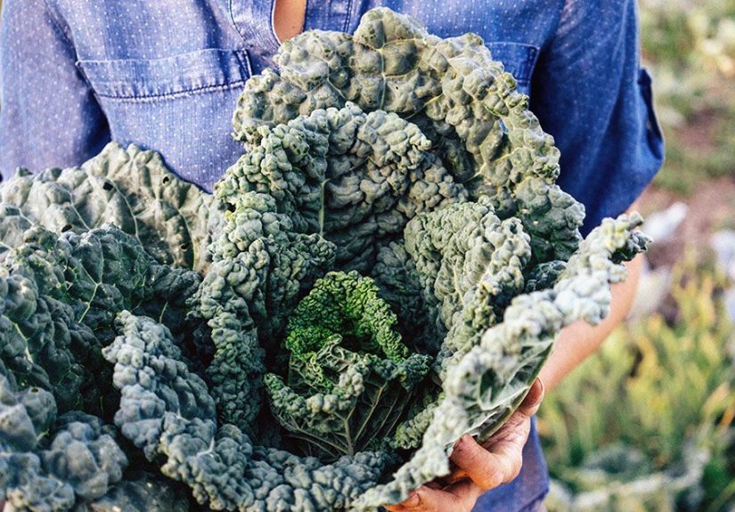 Kale: Health Benefits, Nutrition, Eating, and Risks