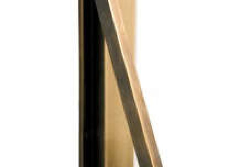 Pendulum Door Knocker