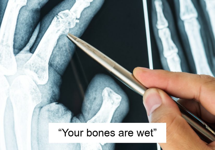 People Online Are Sharing Facts That They Say “Feel Illegal To Know,” And Here Are 27 Of Them
