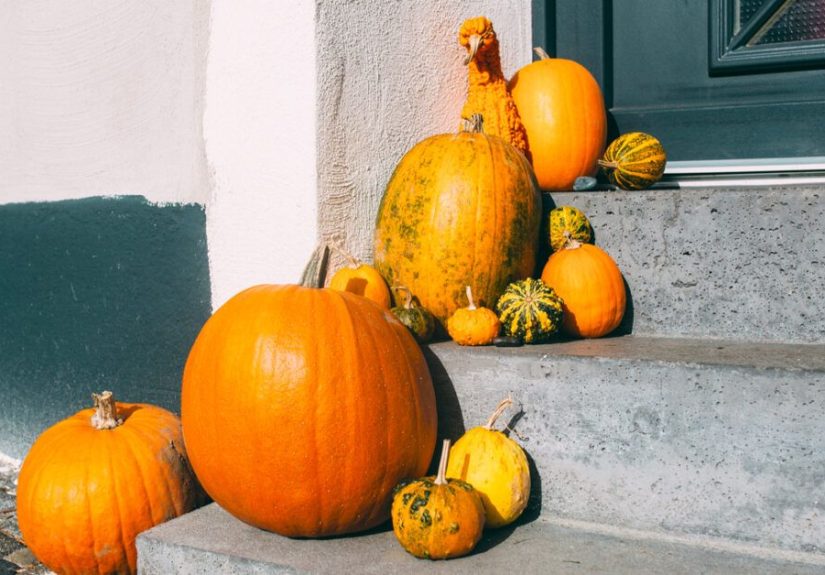 Pumpkin: Nutrition, Benefits, and How to Eat It