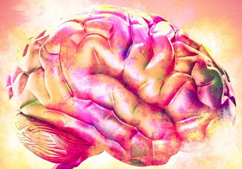 Trauma Brain Is a State of Consciousness that Evolved for Survival